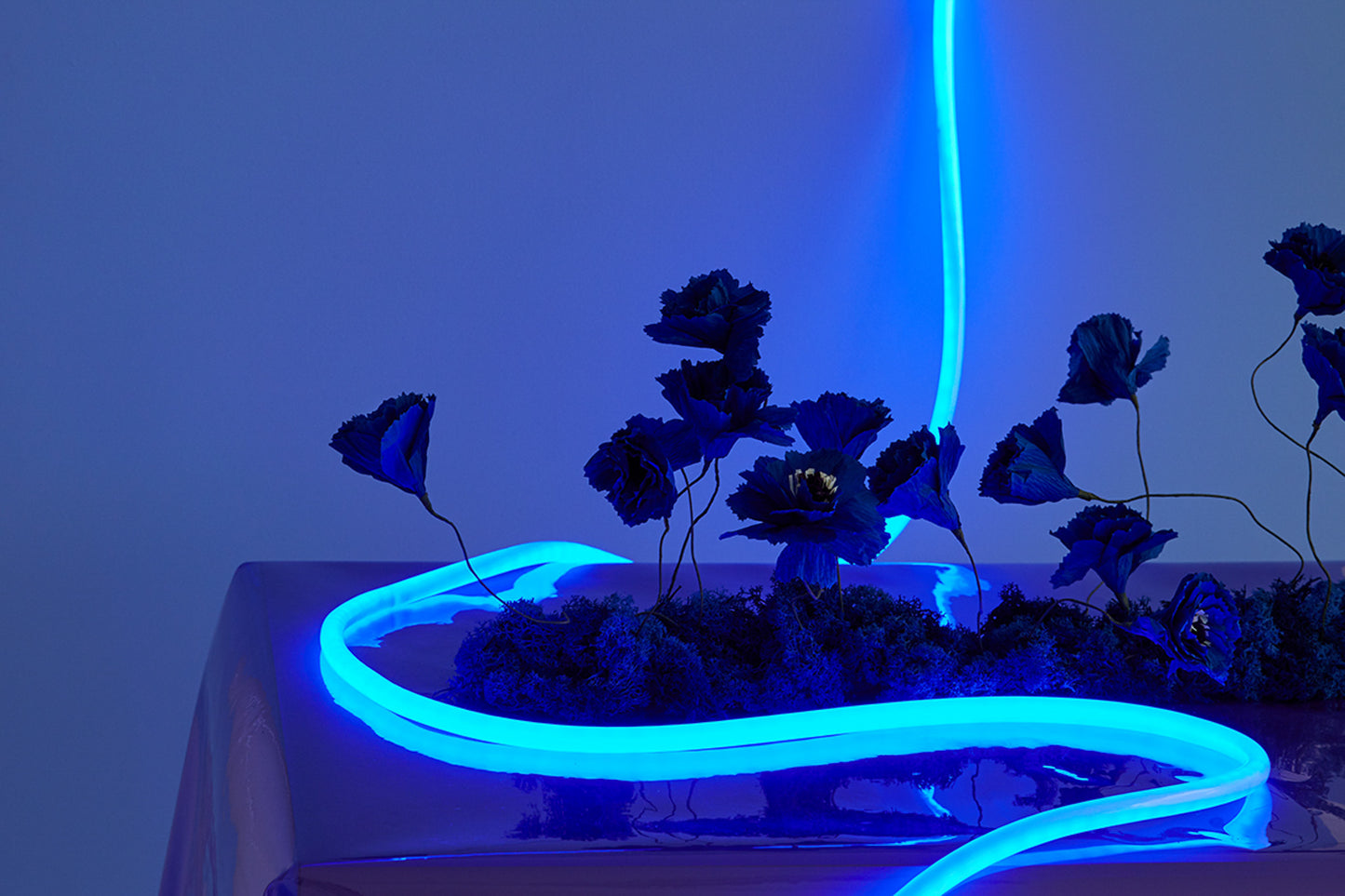 Flex Tube by Studio About - Blue
