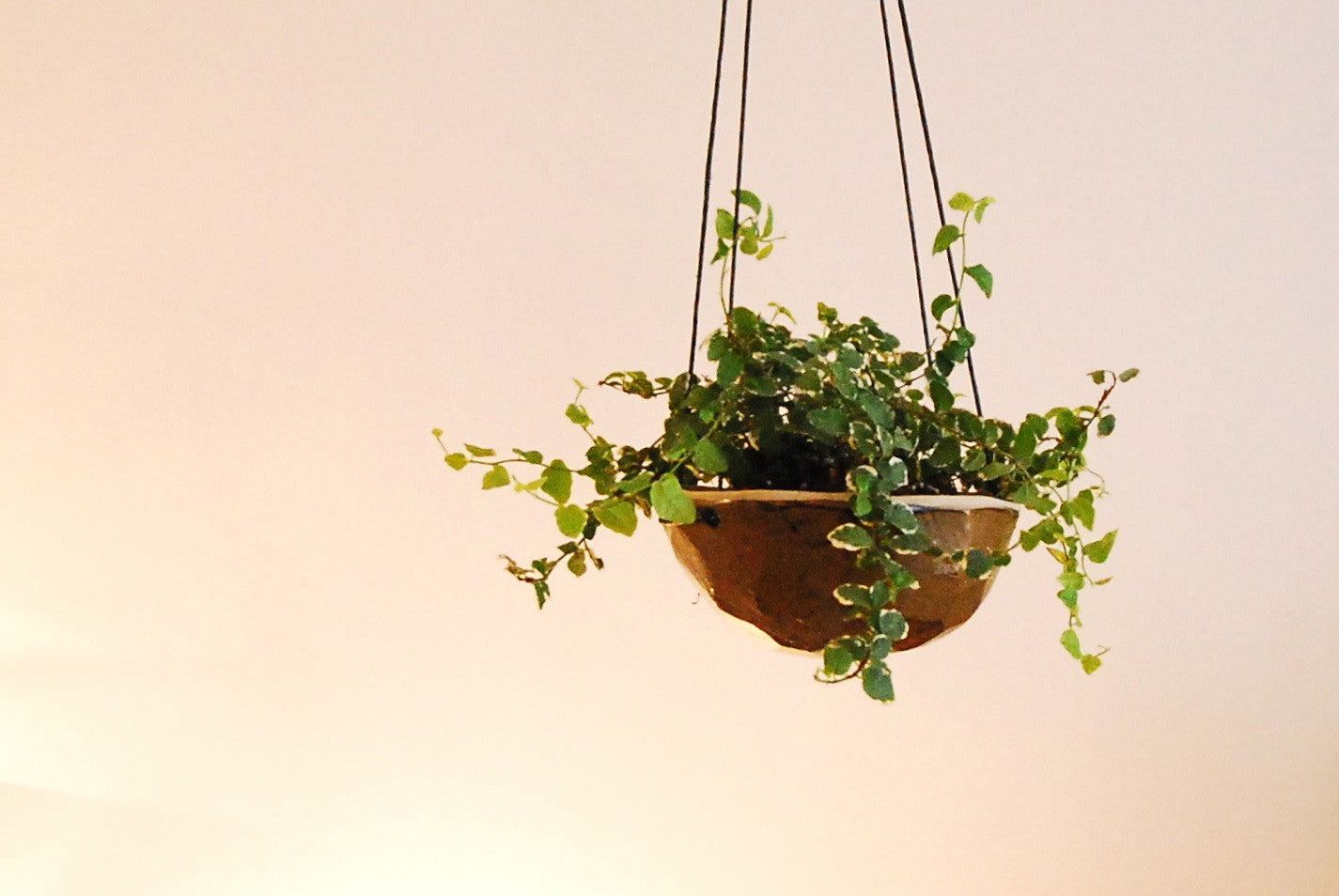 Hanging planter by Skandihus