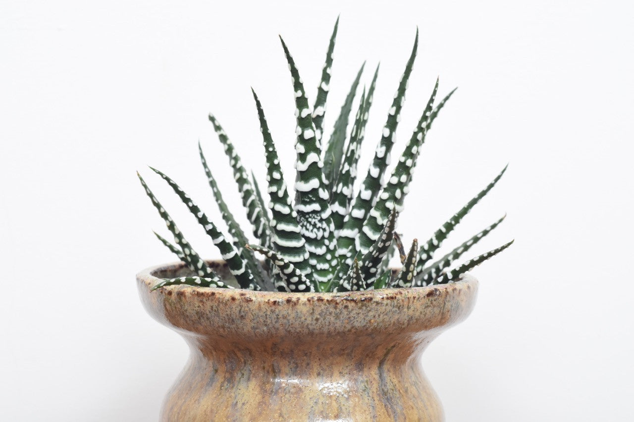 Stoneware planter with running glaze