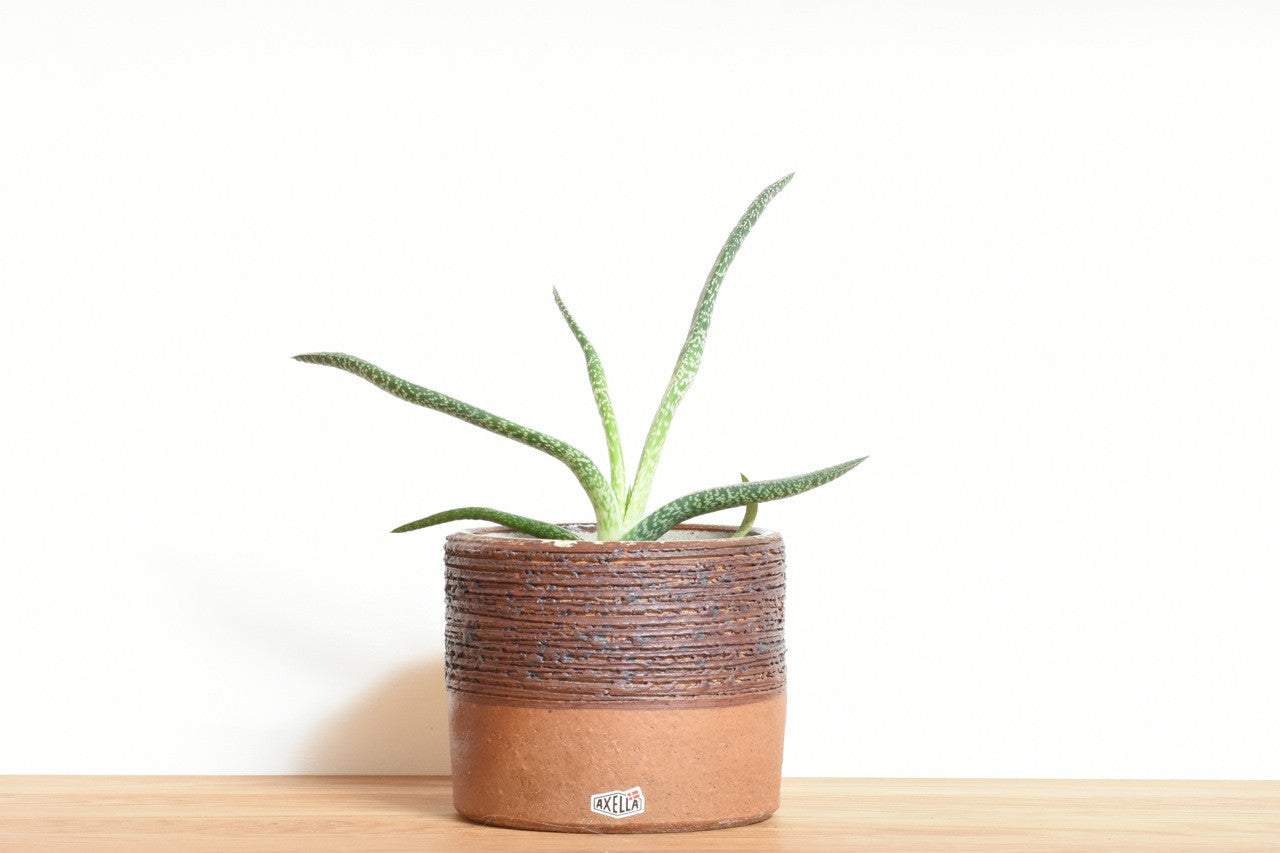 Plant pot by Axella