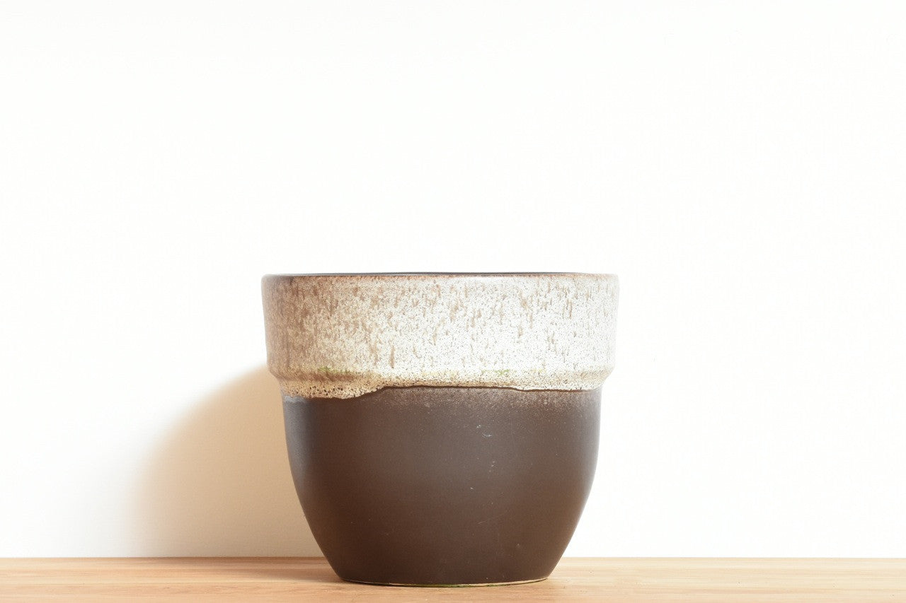 Brown and white plant pot