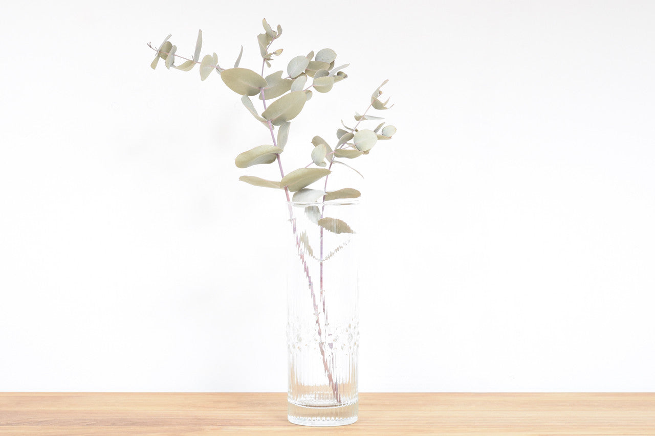 Mesi crystal glass by Iittala Tapio