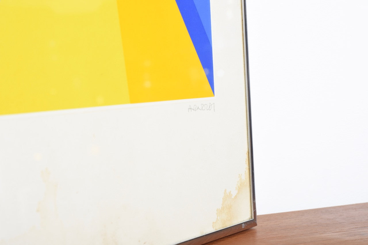 Vintage framed screen print by Arnoldi