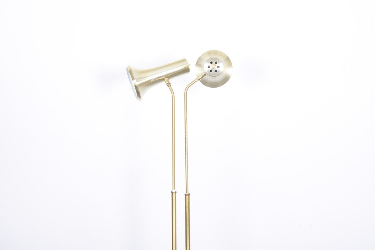 Twin floor lamp