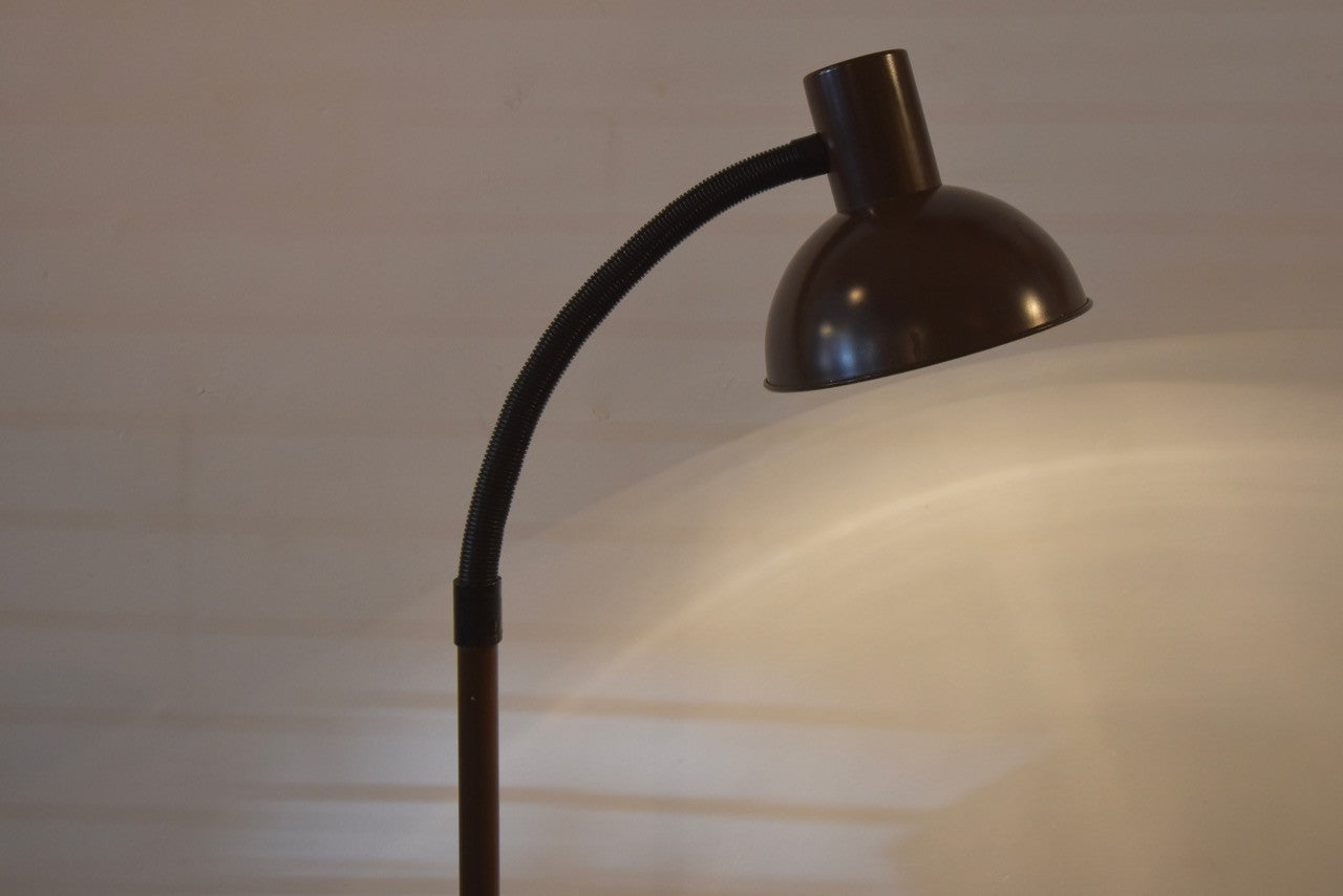 Tall omni-directional floor lamp