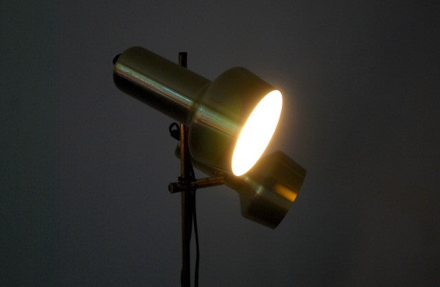 Twin-headed floor lamp