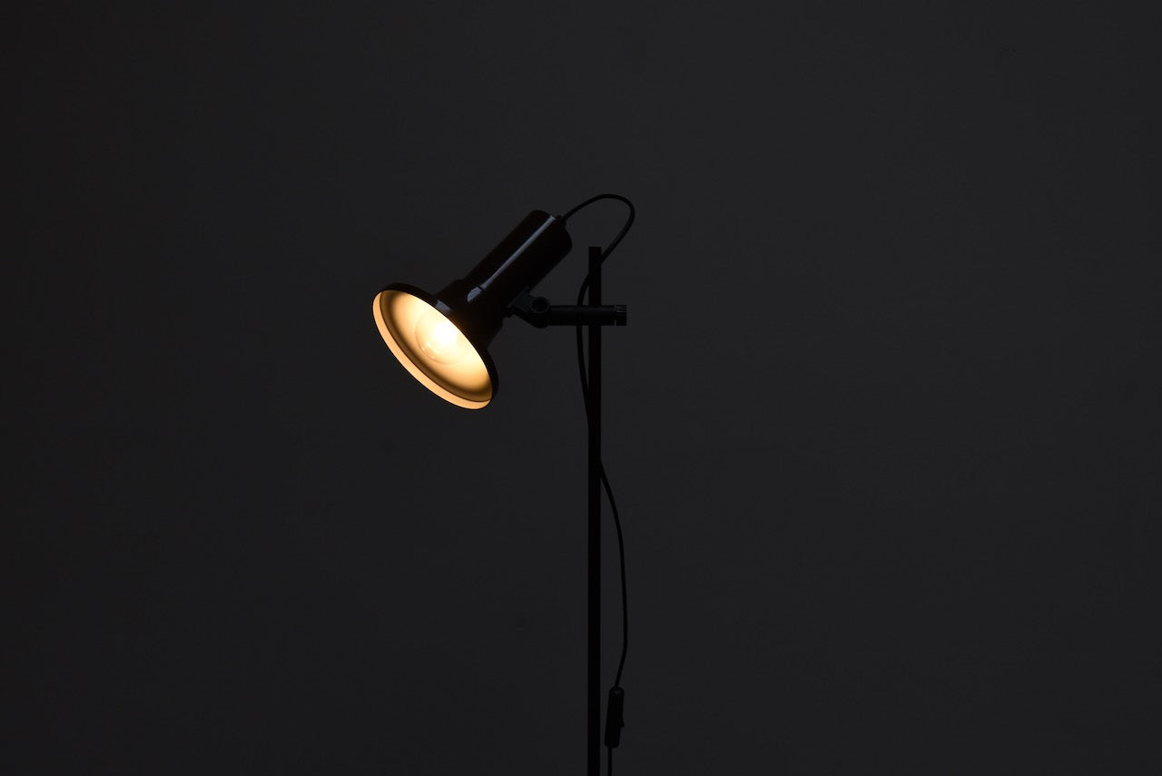 Vintage Danish floor lamp with brown finish