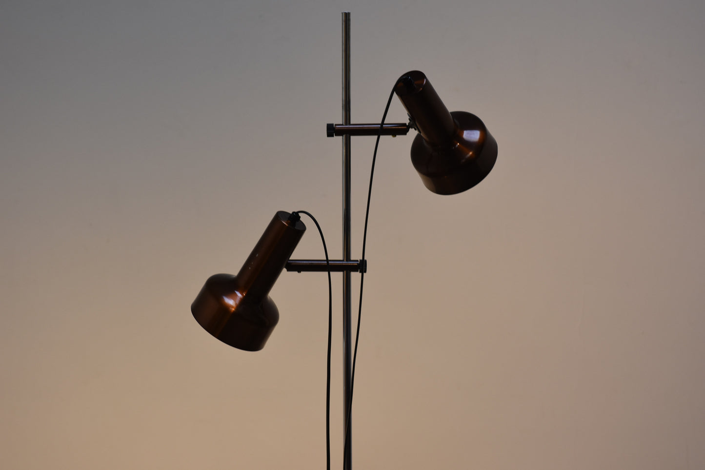 1960s bronze twin-headed floor lamp