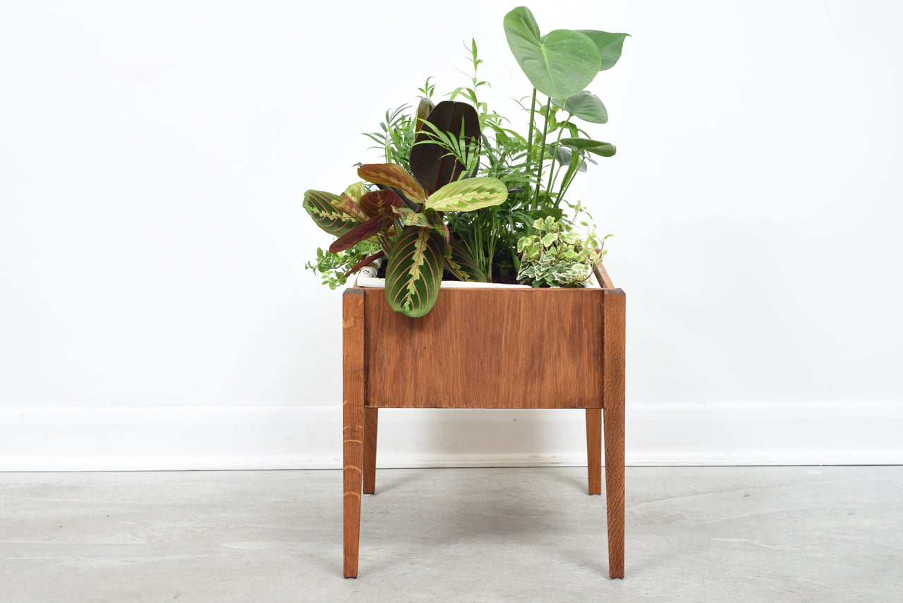 Vintage potted oak planter