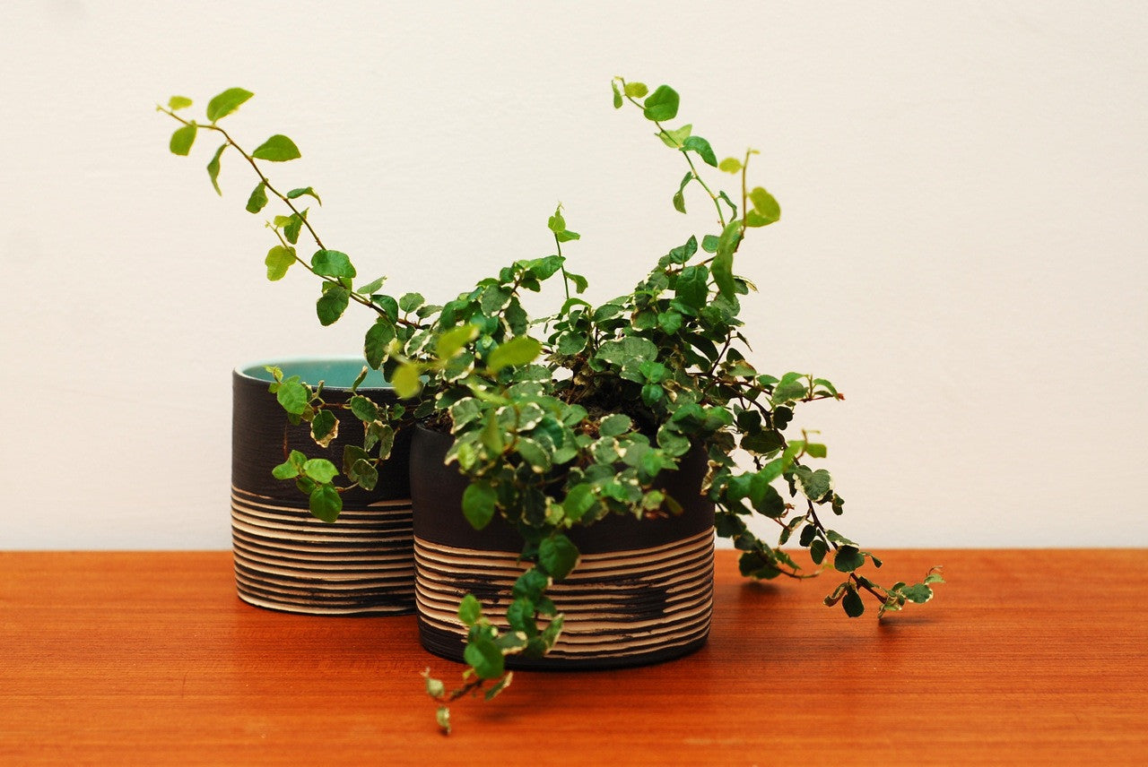 Small plant pot by Skandihus