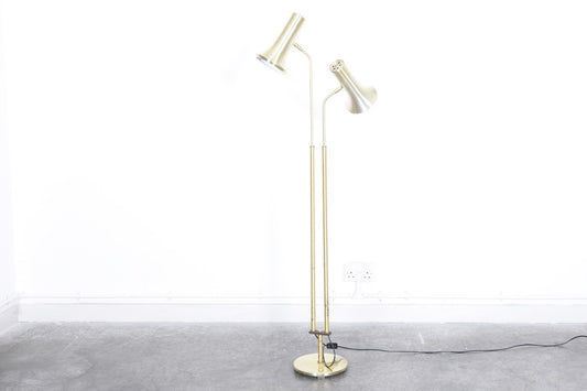 Twin floor lamp