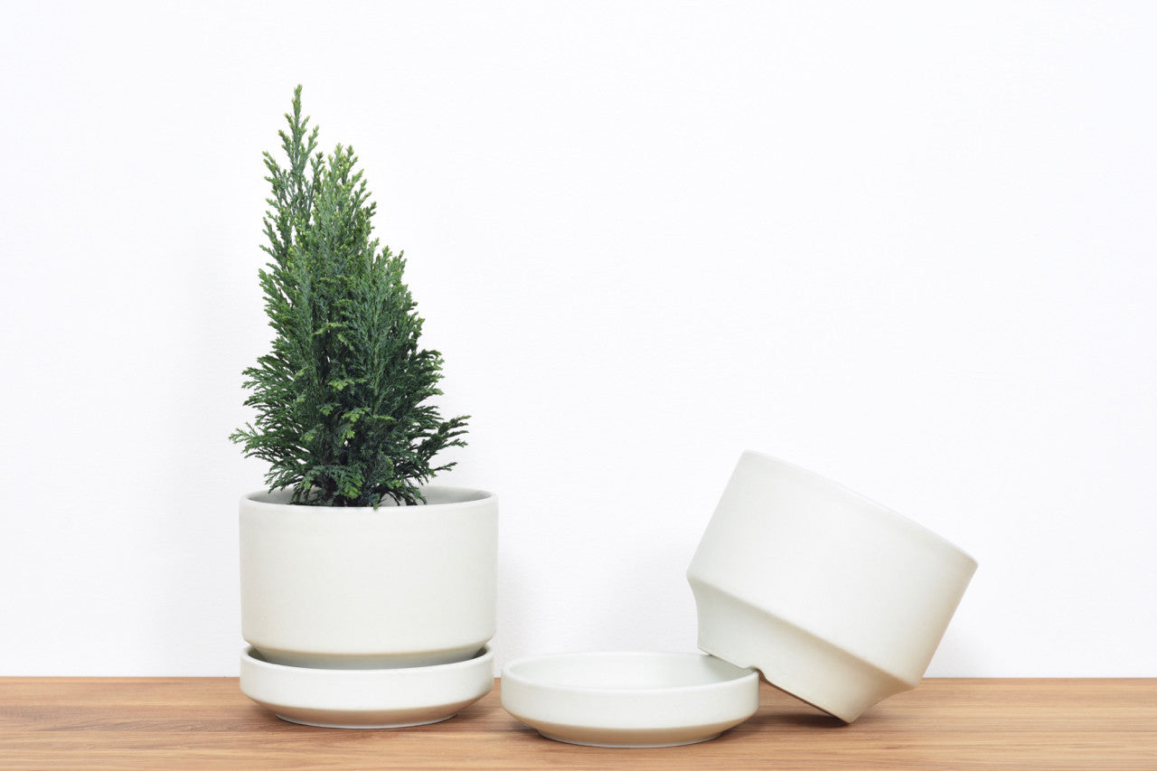 Plant pot by Arabia