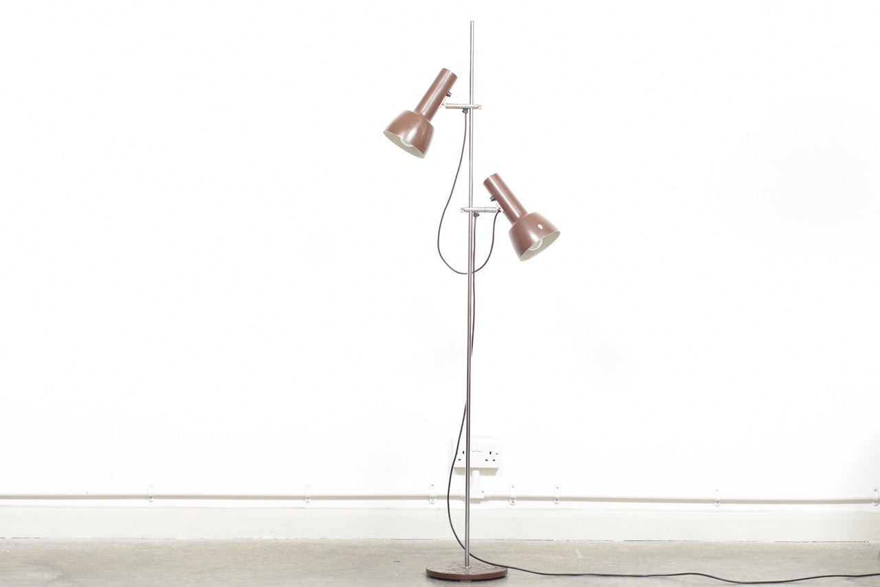 Twin-headed floor lamp