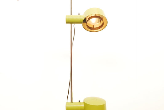 Twin-headed vintage floor lamp