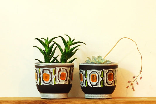 Pair of plant pots