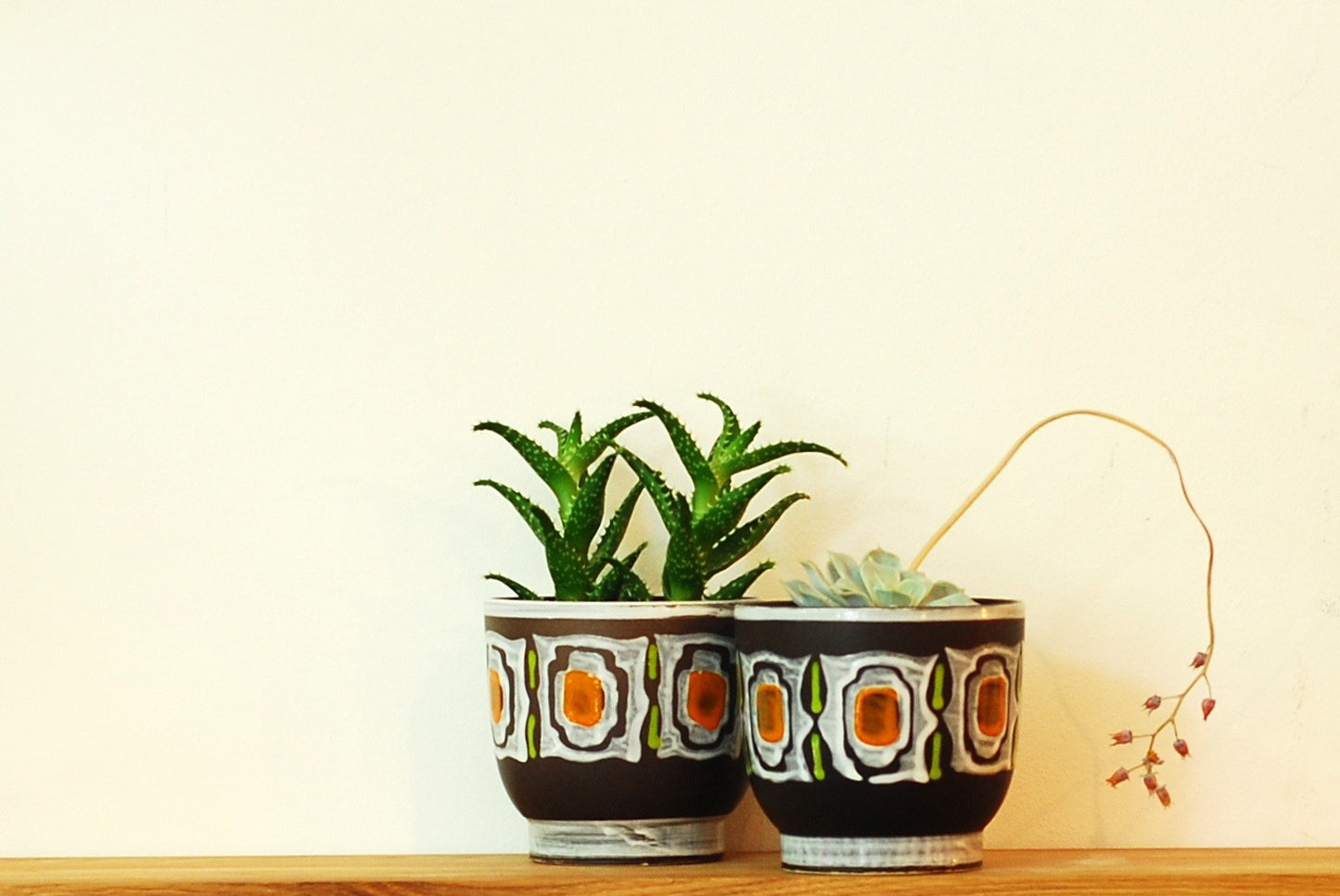 Pair of plant pots