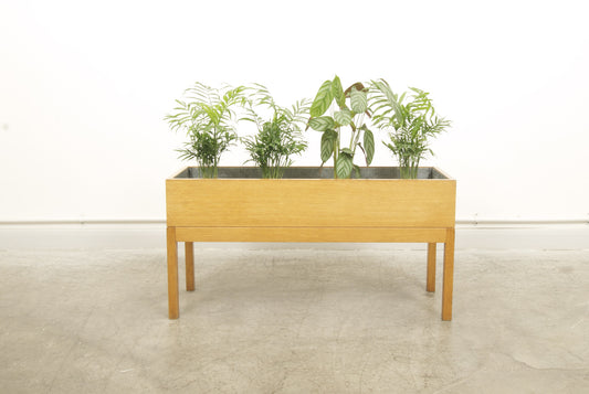 Oak planter