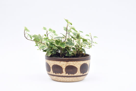 Ceramic flower pot by Per Engström