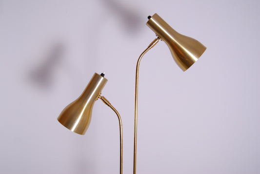 Twin headed brass floor lamp