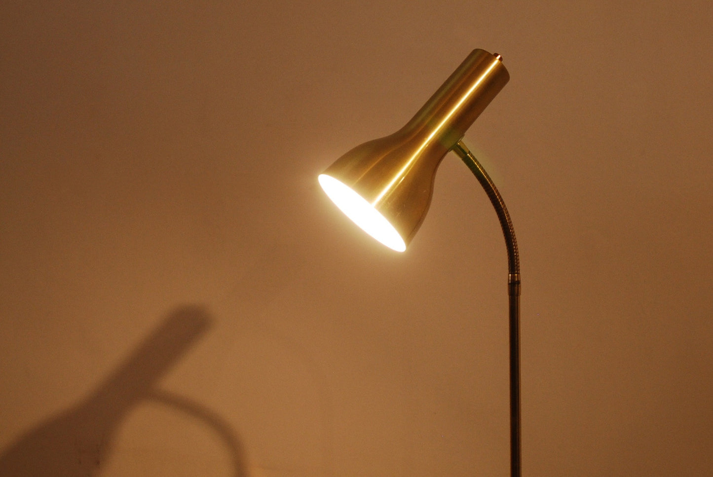 Brass floor lamp by Iaoni Belysning