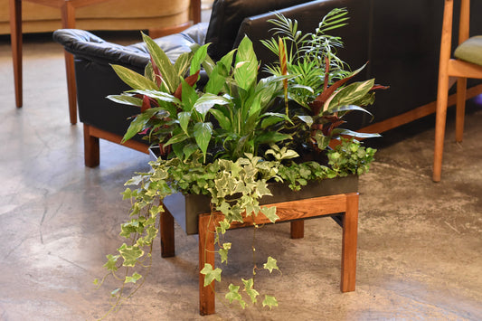 Rosewood planter