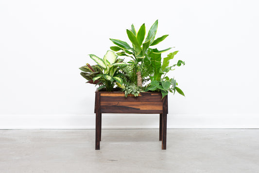 Rosewood planter