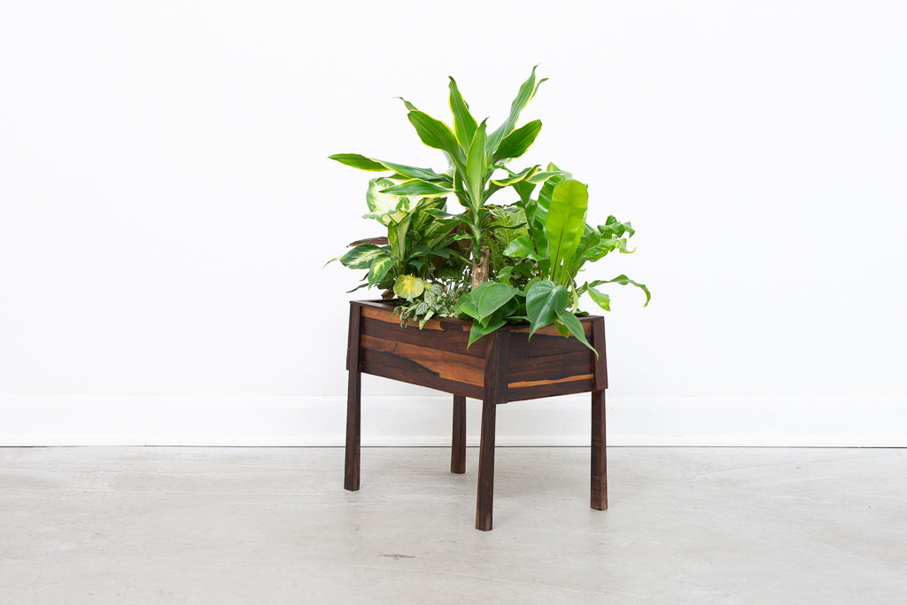 Rosewood planter