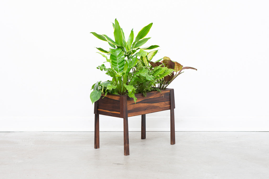 Rosewood planter