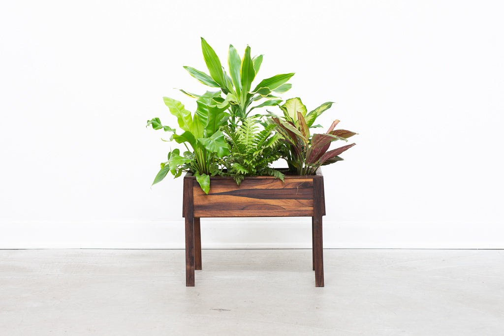 Rosewood planter