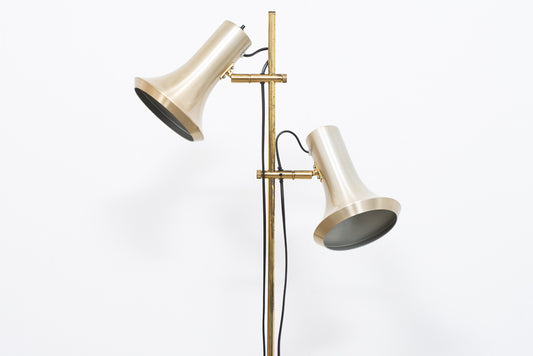 Twin-headed brass floor lamp