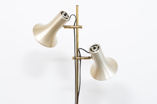 Twin-headed brass floor lamp