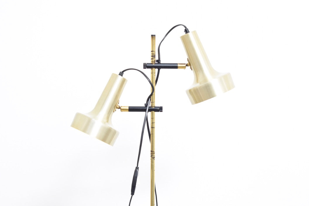 Twin-headed floor lamp with brass finish