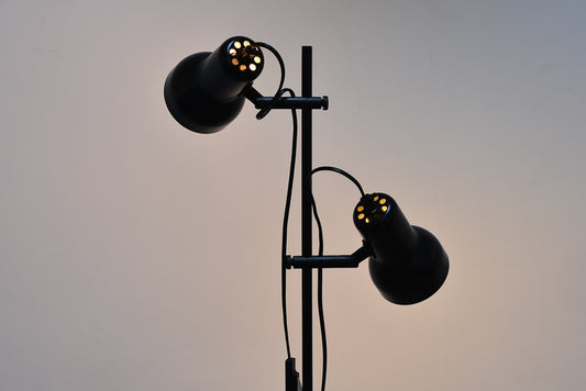 Black twin-headed floor lamp