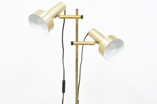 Twin-headed brass floor lamp