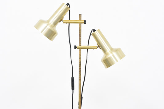 Twin-headed brass floor lamp