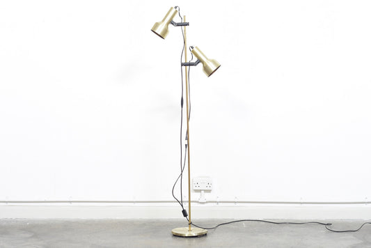 Twin-headed brass floor lamp