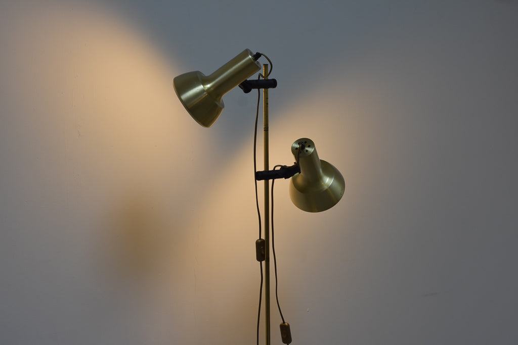 Twin-headed floor lamp with brass finish