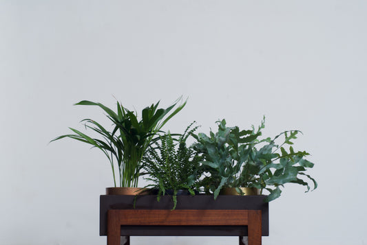 Planter with a teak base