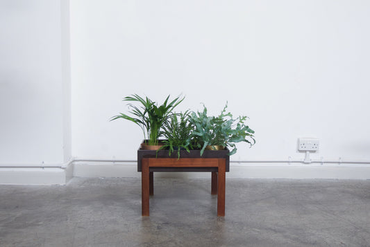 Planter with a teak base