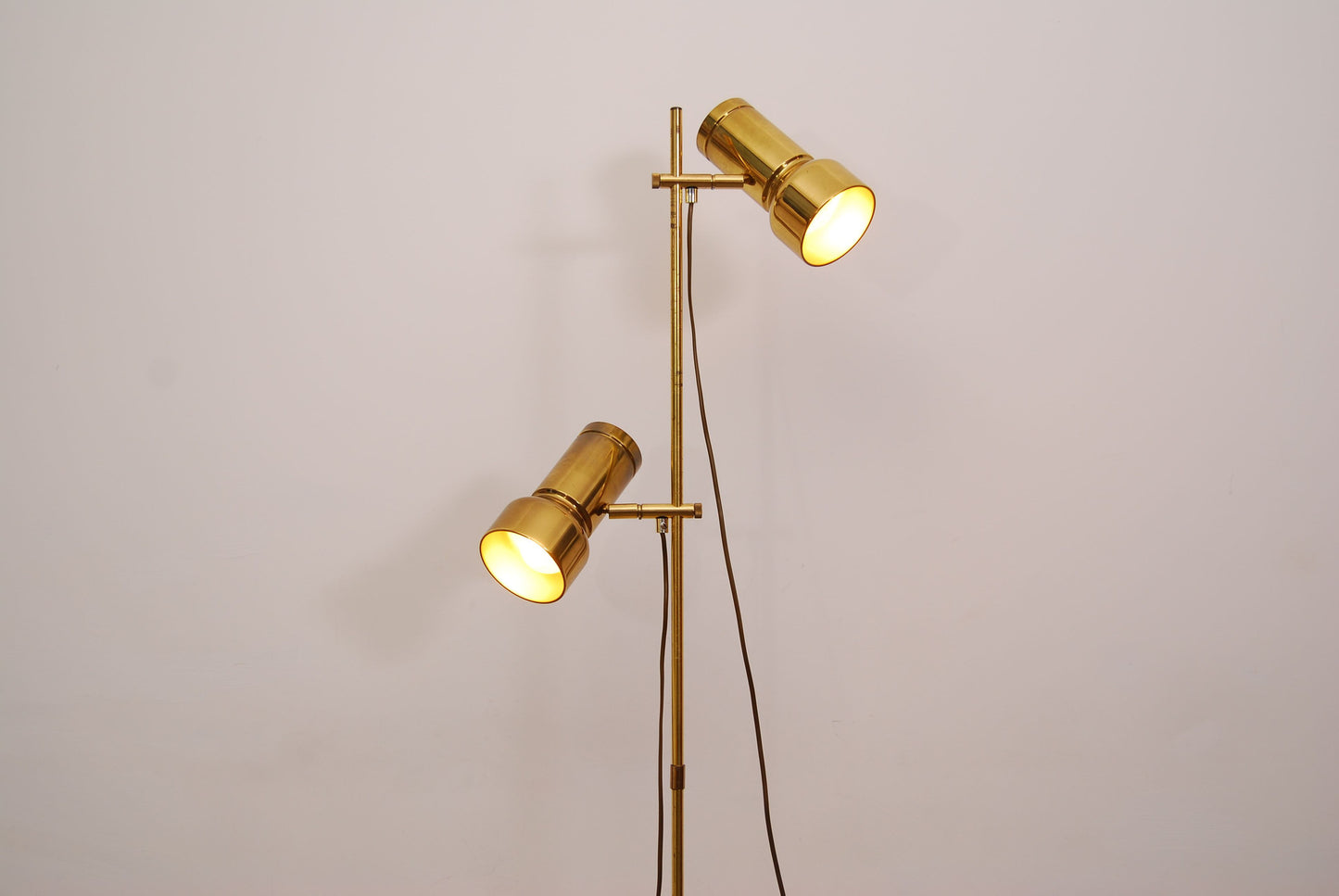 Twin-headed brass floor lamp