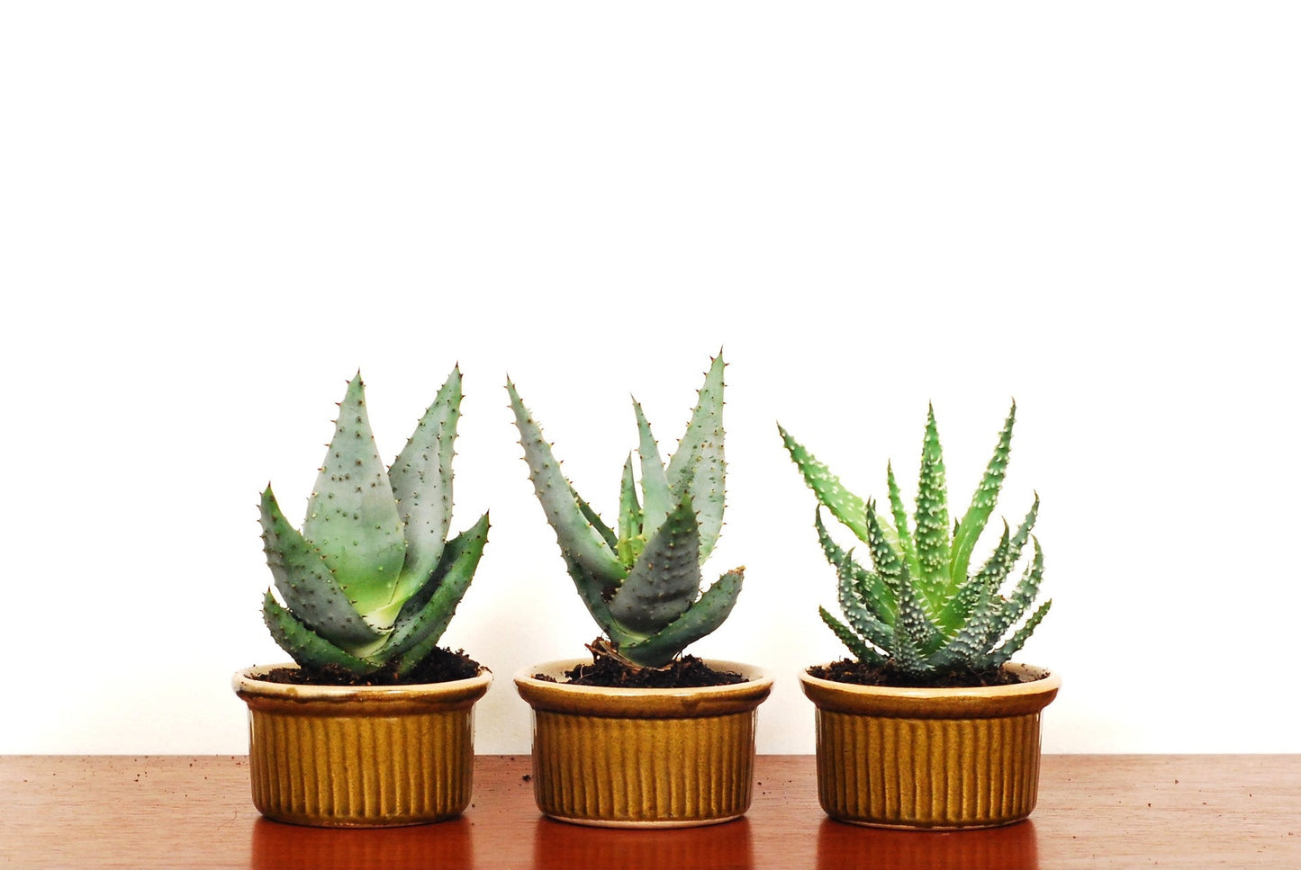 Set of three mini planters