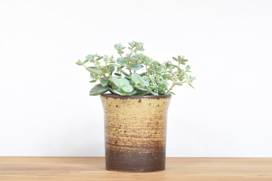 Mini flower pot by Axella
