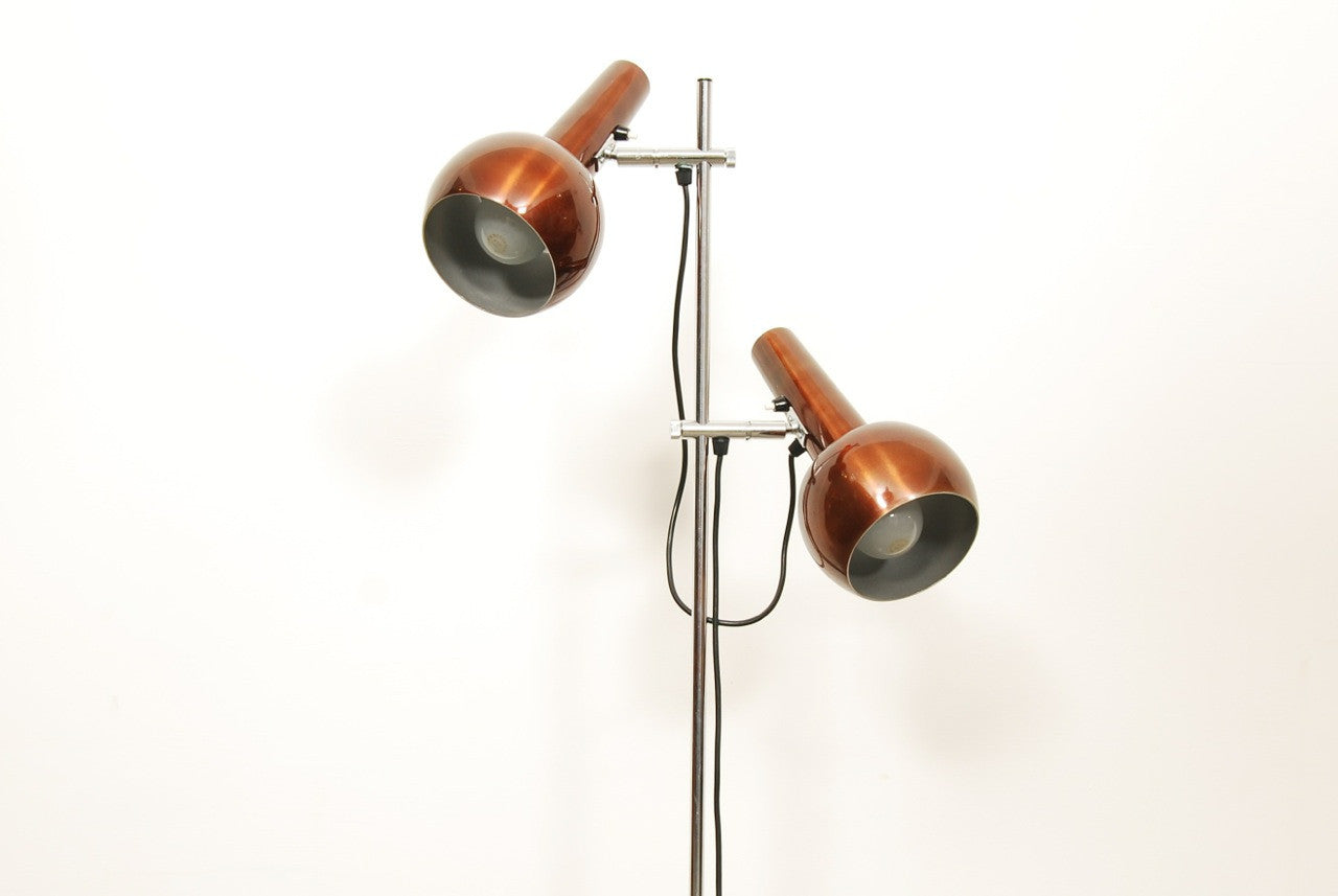 Twin-headed floor lamp