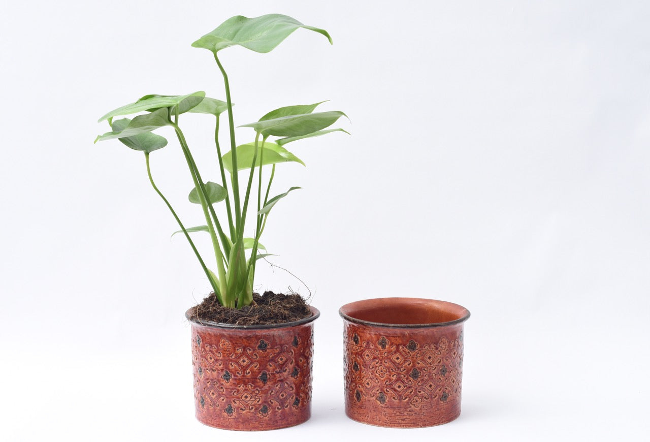 Two available: Vintage Italian plant pot