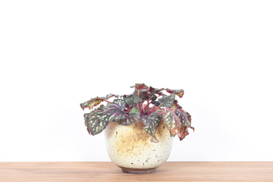 Speckled flower pot