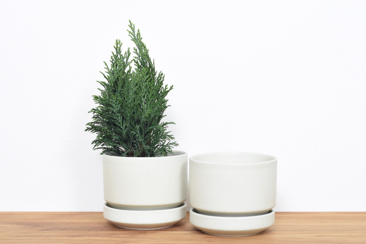 Plant pot by Arabia