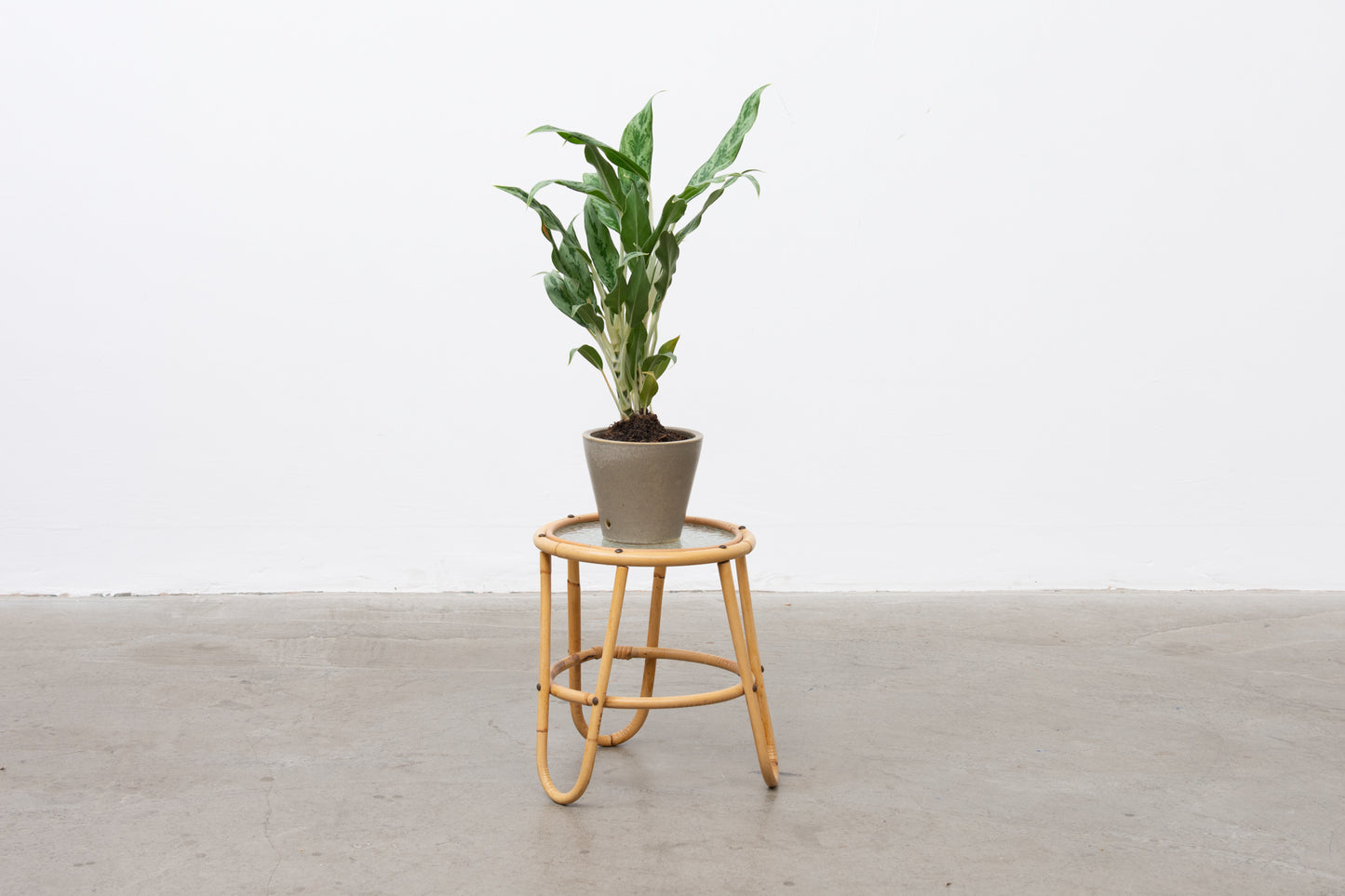 Vintage bamboo + glass plant pedestal
