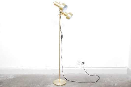 Twin-headed floor lamp