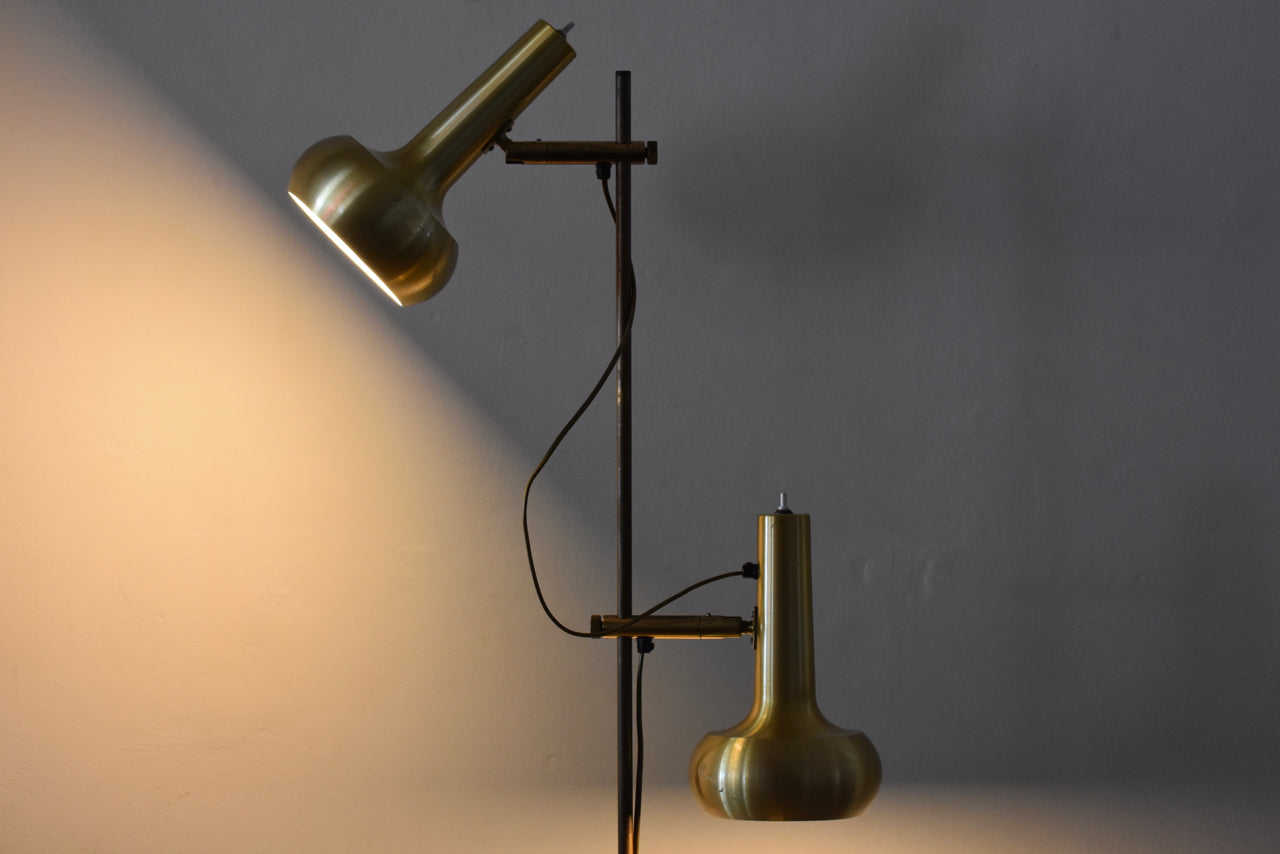 Twin-headed floor lamp with brass shades