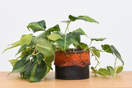 West German ceramic plant pot